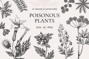 Poisonous Plant Vector Illustrations, an Object Graphic by Yevheniia