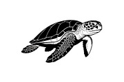 50 Sea Turtle Vector Silhouette Bund, an Illustration by jahid234 (Thumbnail 10 of 51)