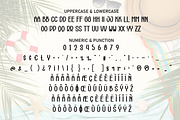 Summer Vacation | Script Font, a Script Font by Scratchones (Thumbnail 7 of 8)