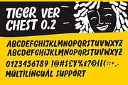 50% Tiger Chest – Urban Display Font, a Sans Serif Font by Four Lines Std. (Thumbnail 8 of 9)