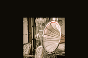Vintage Design PNG, a Background Graphic by Simona Meleca (Thumbnail 31 of 32)