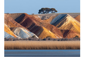 The banks of the Murray River, close, a Holiday Photo by ZinetroN