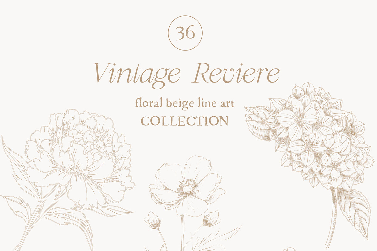 New! Timeless Library Edition, a Graphic by Isabelle Salem (Photo 37 of 211)