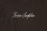 The Bloomington Font, a Script Font by Ivan Rosenberg (Thumbnail 8 of 12)