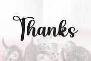 Kitten | Script Font, a Handwritten Font by Scratchones (Thumbnail 8 of 8)