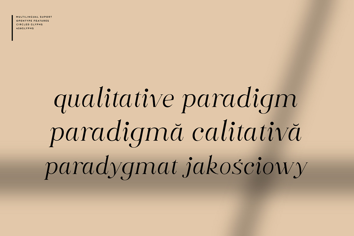 Along Serif BSC Font Family preview 4