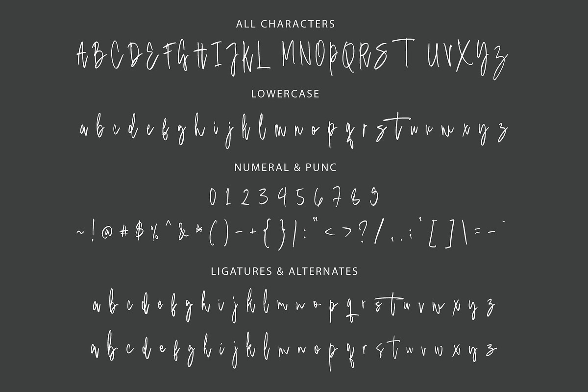 Qinetra Brush, a Handwritten Font by Eltypesstudio (Photo 11 of 11)