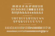 Vittorika Modern Serif Font, a Serif Font by Letterena Studios (Thumbnail 14 of 15)