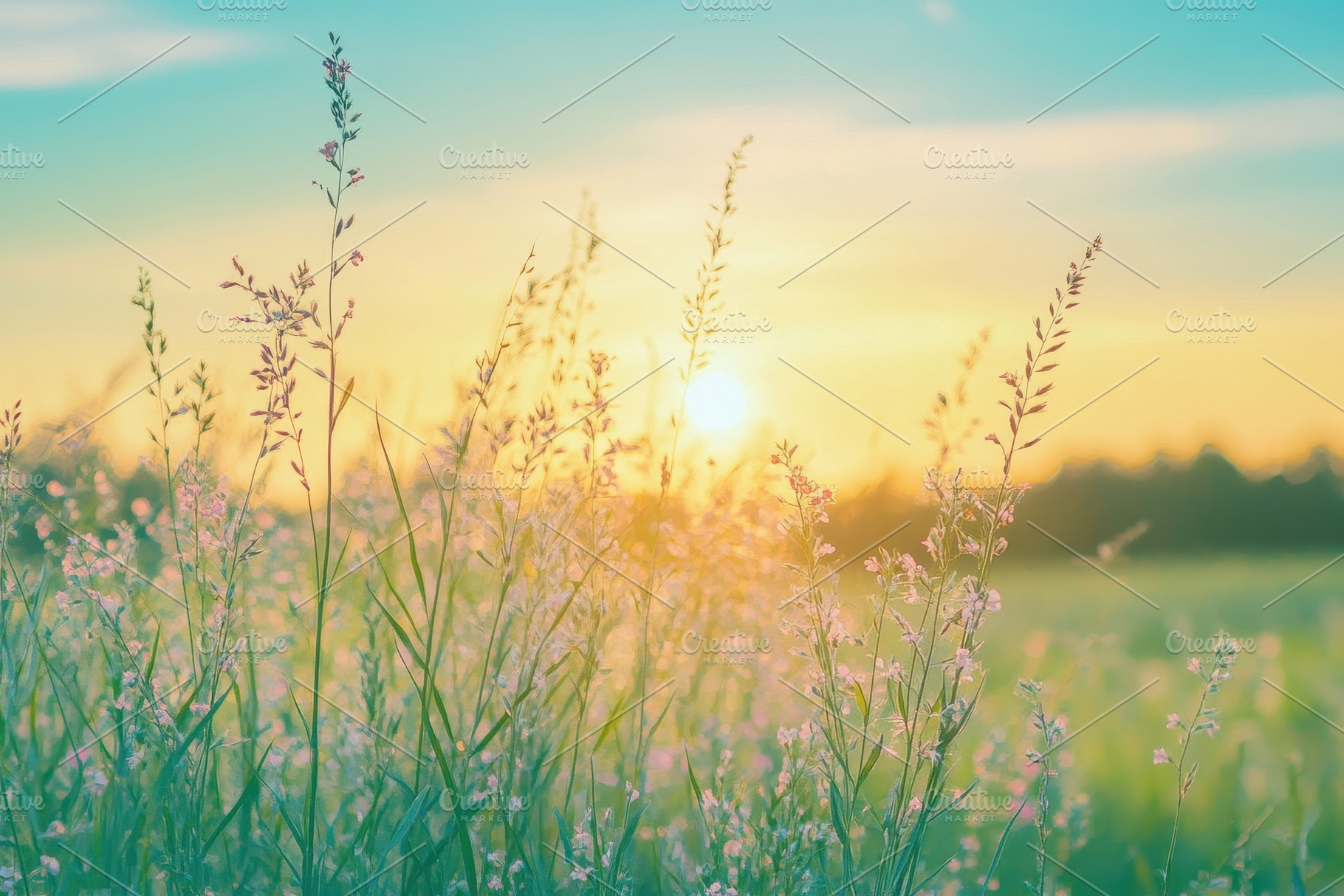 Stunning summer meadow, a Photo by Pavel_design
