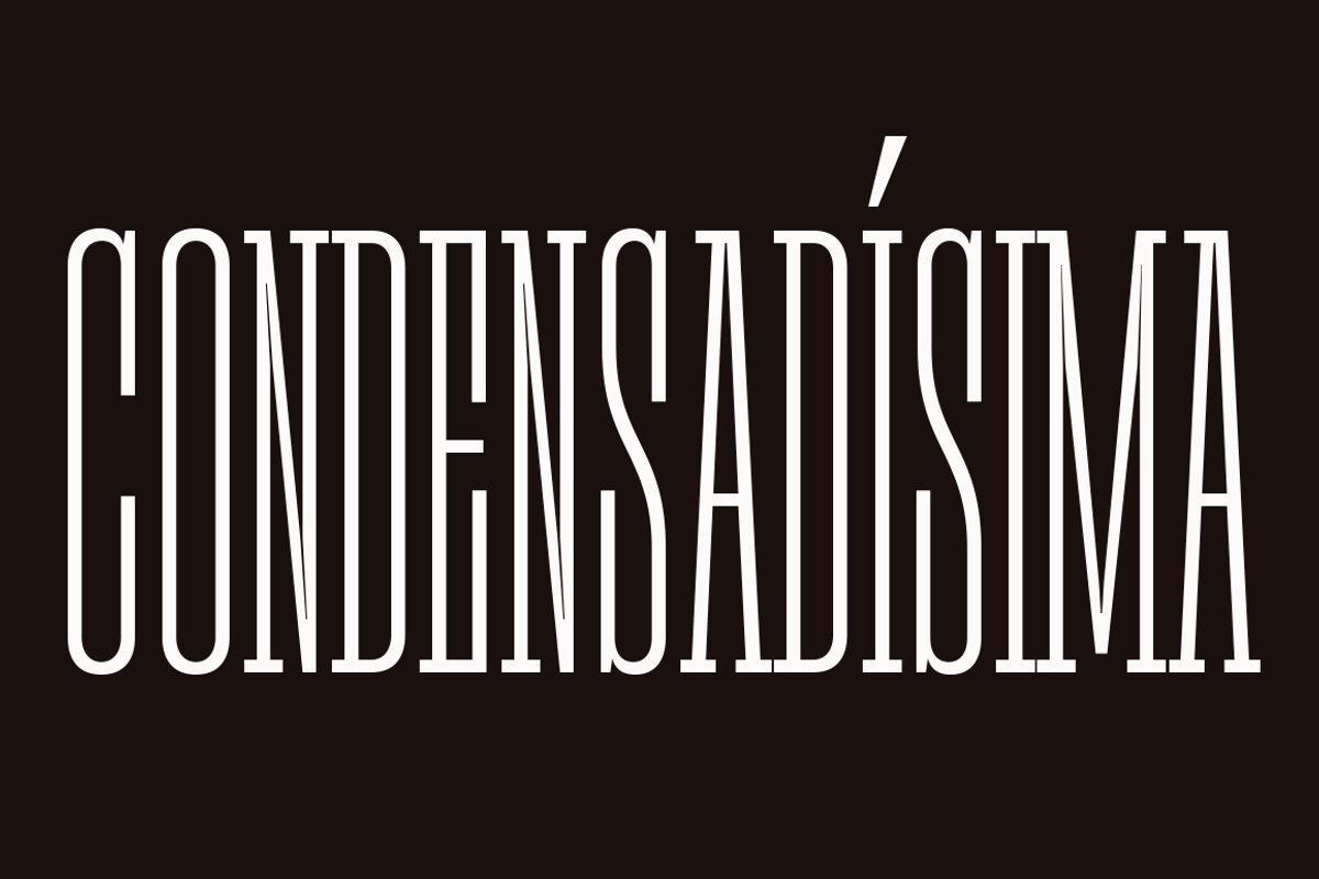 Rita, a Slab Serif Font by Latinotype (Photo 13 of 15)