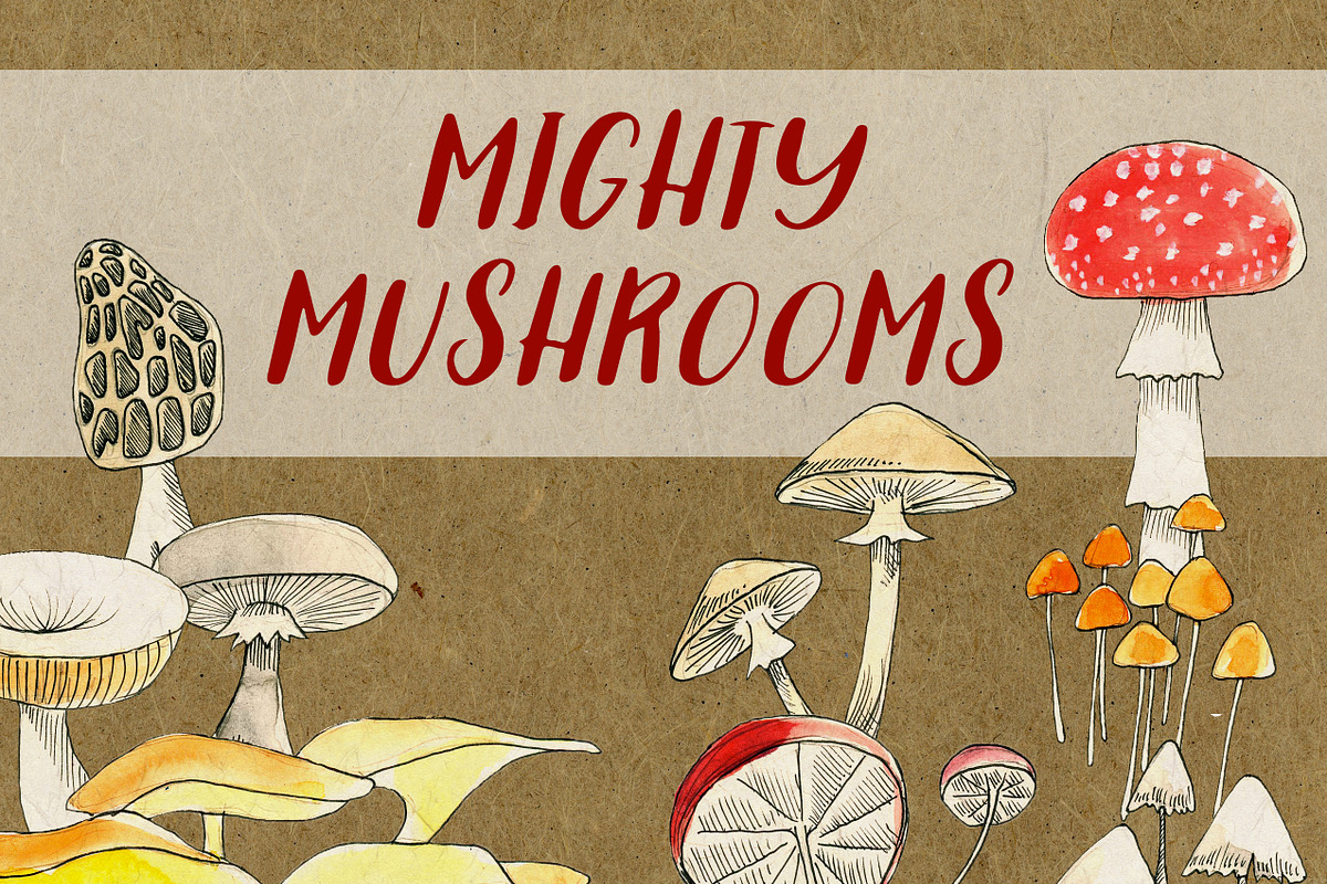 Mighty Mushrooms Watercolor Clip Art, an Illustration by MyNatureGraphics (Photo 1 of 3)