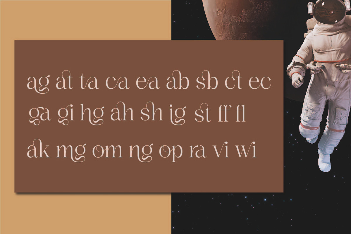Budarli | Modern Serif Display Font, a Serif Font by MchCrafter (Photo 7 of 9)