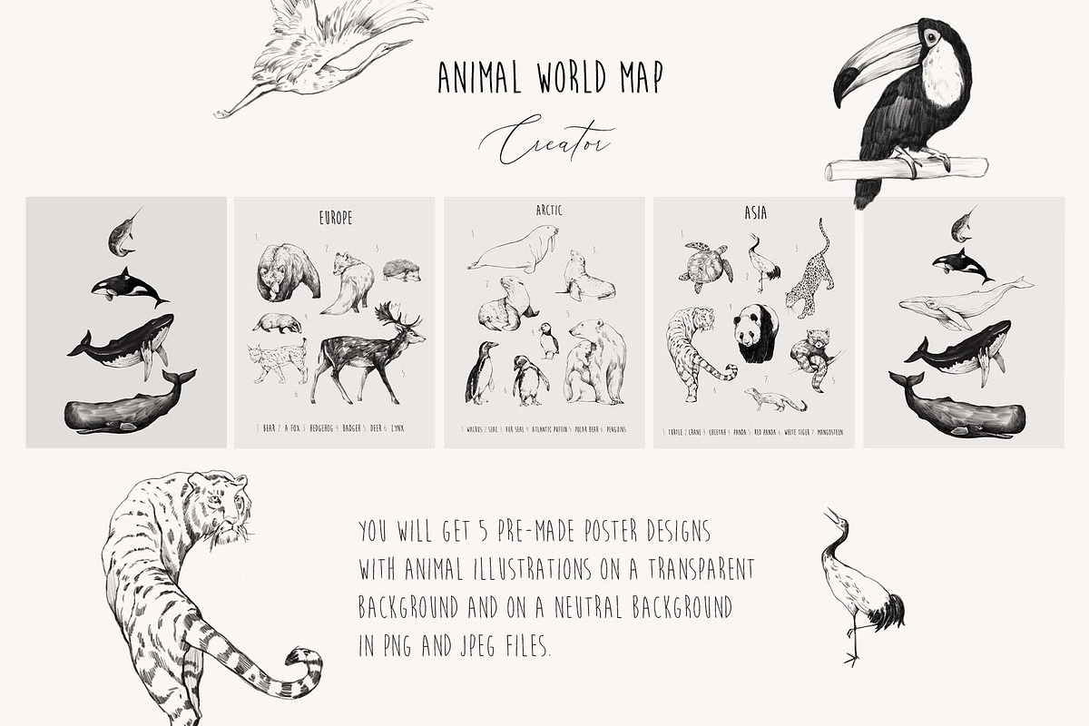 Animal World Map Creator, an Animal Illustration by Natalia Tugova (Photo 2 of 17)