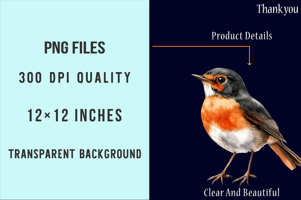 Autumn American Robin Bird Clipart, an Illustration by SinaCreation (Photo 4 of 5)