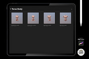 Procreate 3d Models (4K) Torso Body, a Brush Add-On by Luuuka studio (Thumbnail 2 of 5)