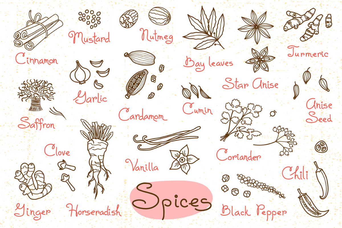 Spices - Design Set, a Food Illustration by Baksiabat (Photo 2 of 2)