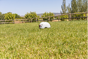 A white helmet on the green grass