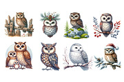 Watercolor Owl Clipart, an Illustration by Designworld (Thumbnail 4 of 5)