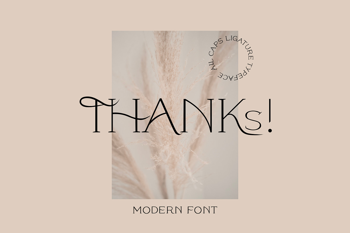 Modern ligature-rich font, a Serif Font by elvinova (Photo 18 of 18)