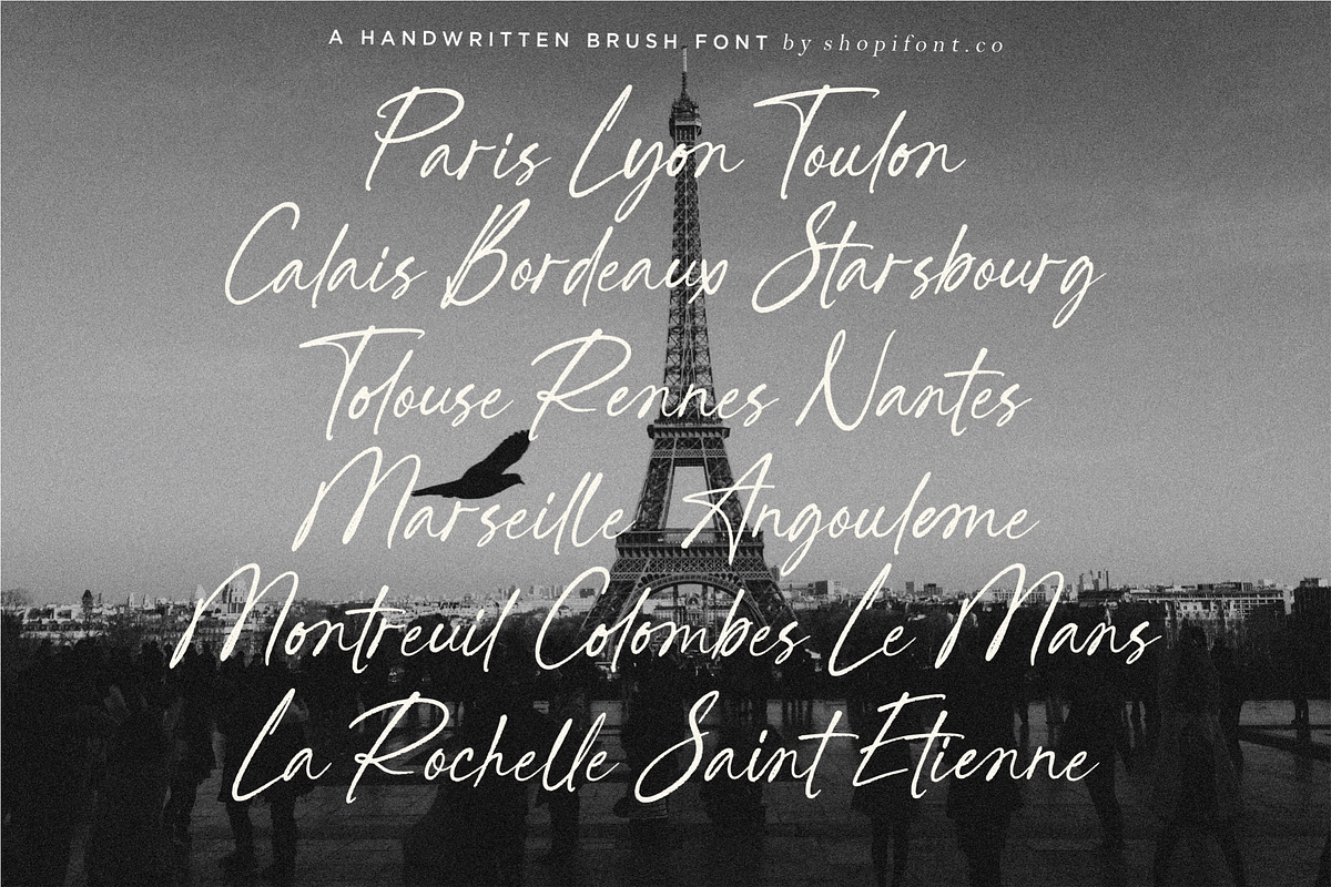 Seraphica Tropise, a Script Font by Shopifont.co (Photo 5 of 13)