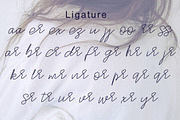 Stylish Script, a Script Font by MSG Studio (Thumbnail 10 of 11)