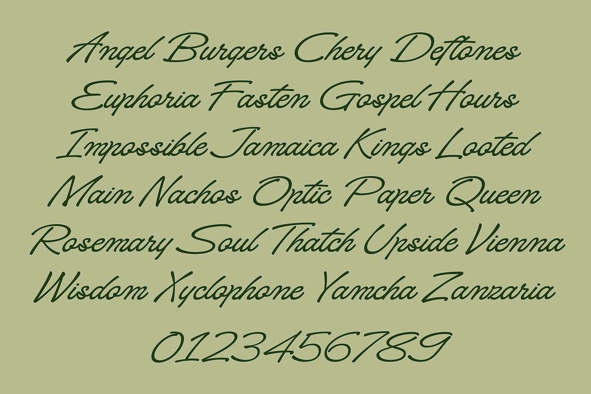Signaturide, a Script Font by Adam Fathony (Photo 2 of 16)