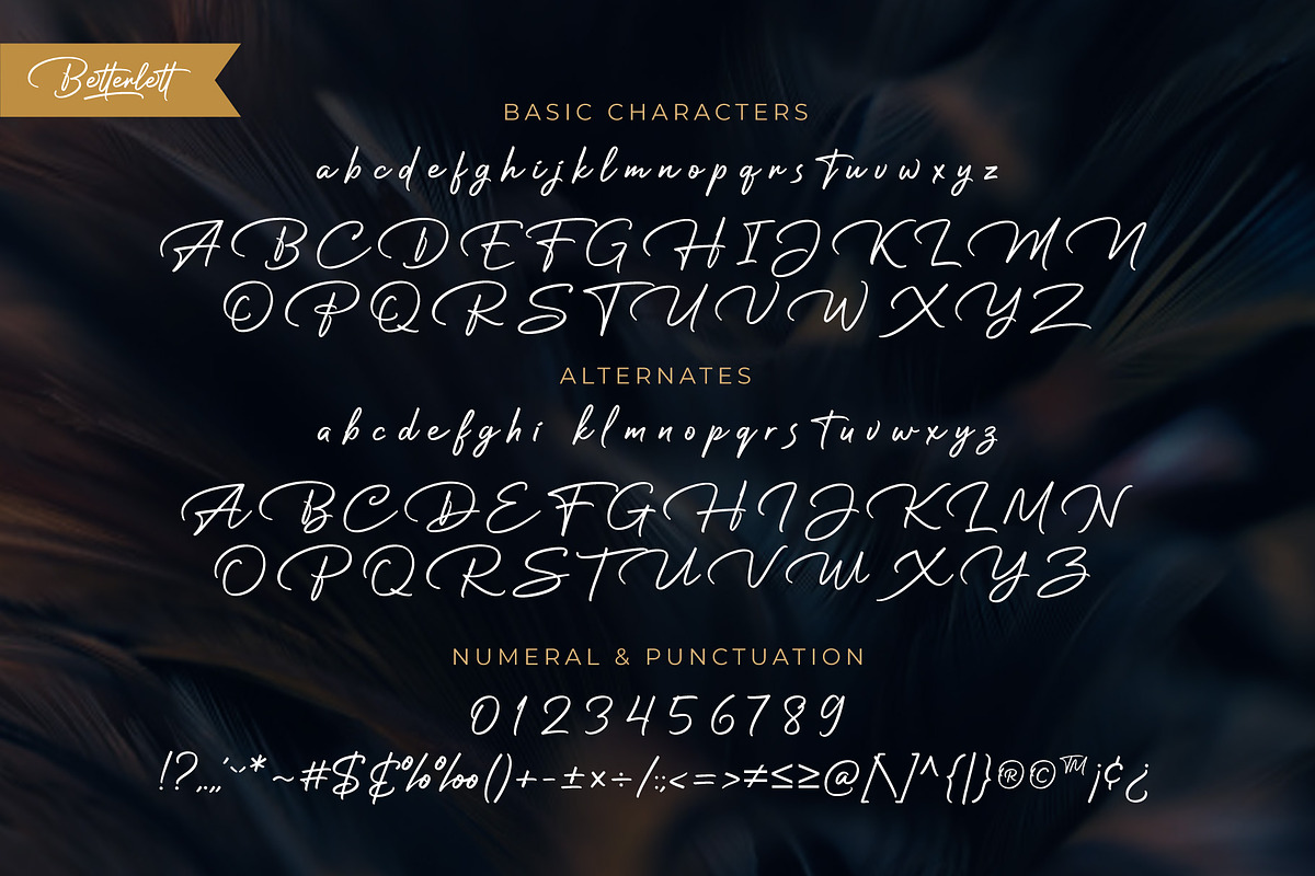 Betterlett, a Script Font by Digitype Studio (Photo 9 of 10)