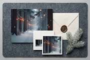 Winter Wonderland Path | Stock Photo, a Holiday Photo by Aura Canyon HQ (Thumbnail 6 of 7)