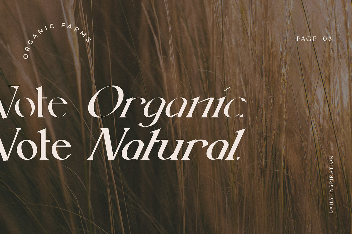 Beauté Modern Serif Font Family, a Handwritten Font by AndrewPixel (Photo 12 of 12)