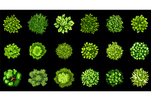 Top view green bushes shrubs and, an Illustration by Valerie Bodnar