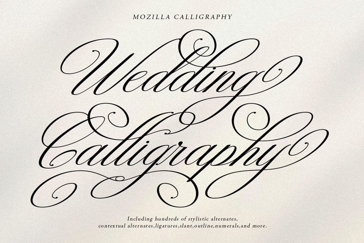 Mozilla Script, a Script Font by Has_rizal (Photo 8 of 16)