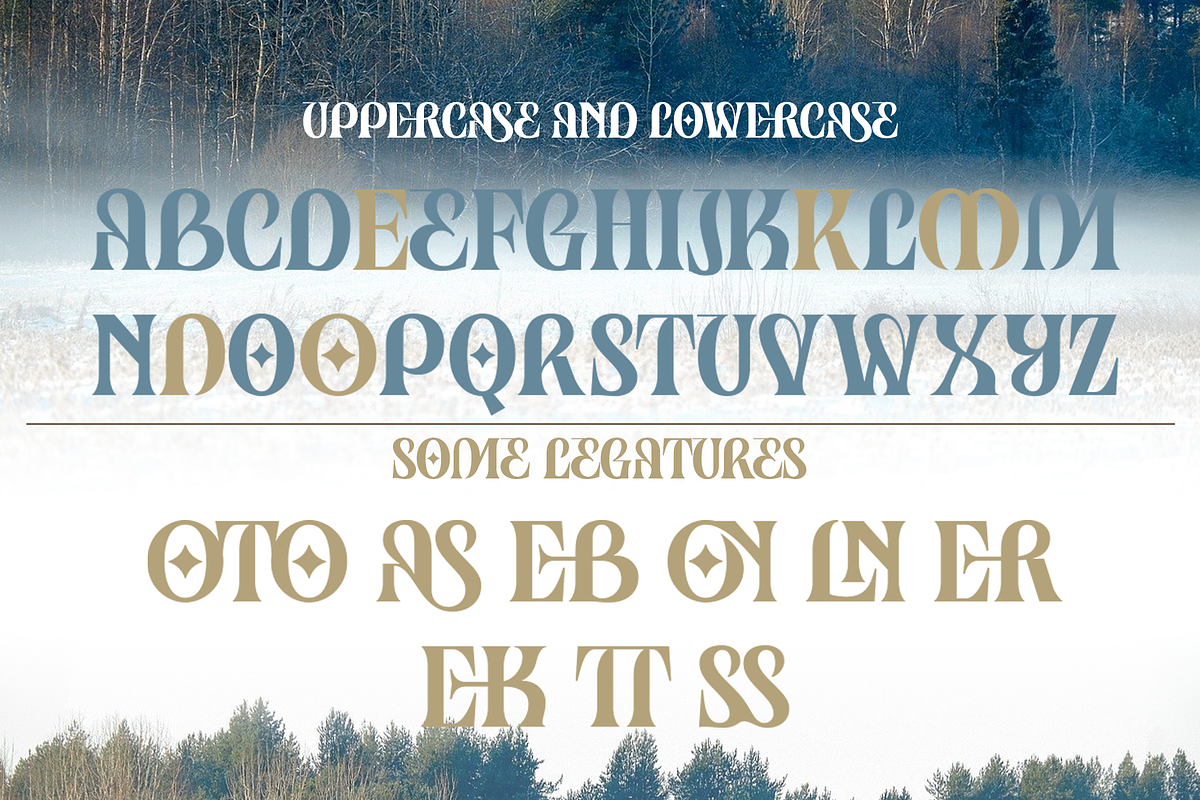 Drivez - New Modern Serif Typeface, a Serif Font by overlaytemplates (Photo 4 of 5)