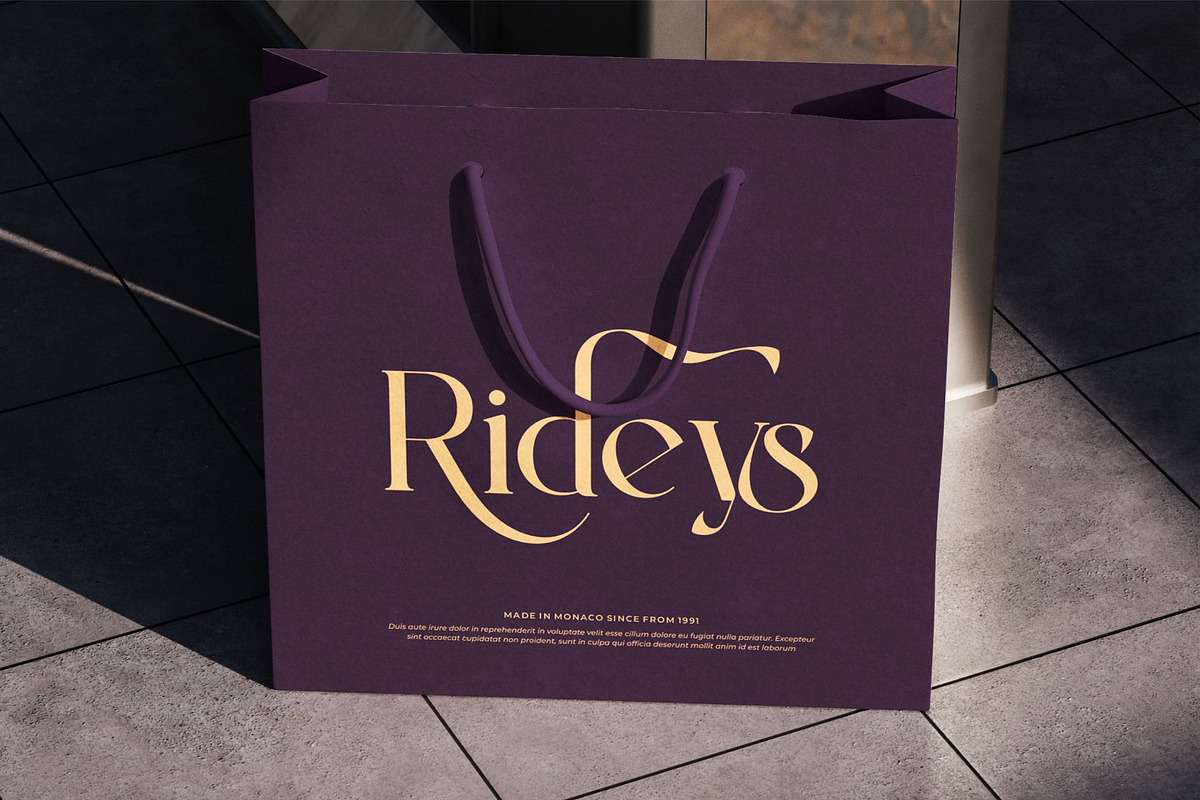Bryevs || Elegant Classy Serif Font, a Serif Font by Ermedia Studio (Photo 9 of 10)