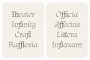 Regnio, a Blackletter Font by DKType Foundry (Thumbnail 13 of 19)