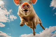 116 Flying animals, an Animal Photo by Handmadefont (Thumbnail 99 of 119)