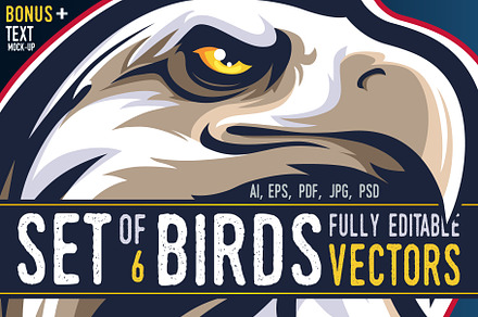 6 Smart Birds Vector set + BONUS