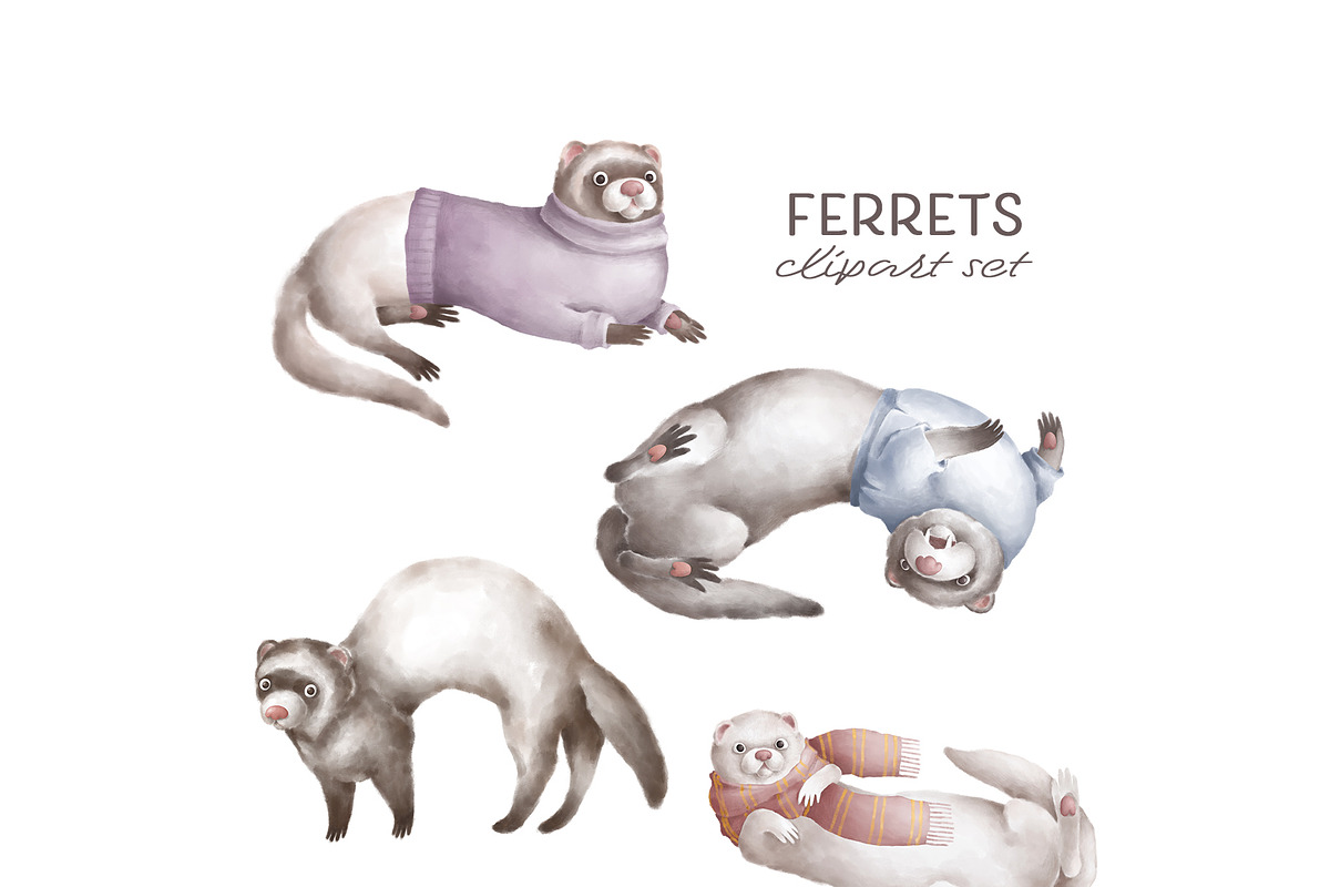 Cute Ferrets+patterns, an Animal Illustration by TheCuteShop (Photo 3 of 8)