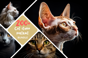 200+ Cat studio portrait Bundle, an Animal Photo by Virgo Studio