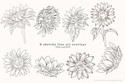 Sunflower Watercolor Illustrations, an Illustration by Fire Spark Studio (Thumbnail 6 of 10)