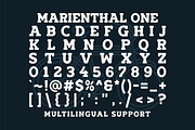 Marienthal Font Bundle + Extras!, a Script Font by DittonSupplyCo (Thumbnail 4 of 8)