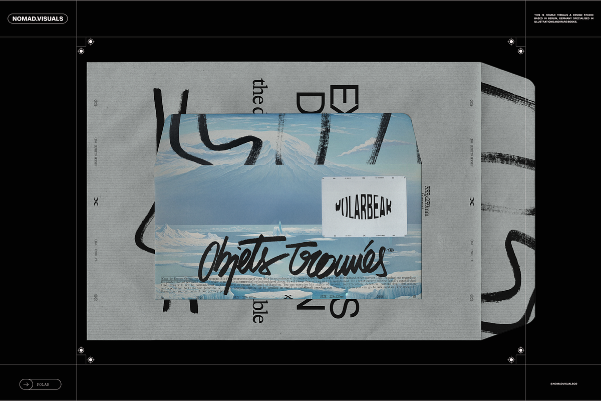 Polar Lands Illustrations, a Background Graphic by Nomad Visuals (Photo 4 of 15)