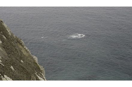 Aerial view of a cliff and calm sea, a Nature Photo by Media Whale Stock