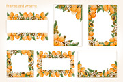 Loquat watercolor clip art, an Illustration by Alena Sid (Thumbnail 9 of 15)