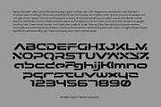 REINBA Extended Sans Serif Font, a Sans Serif Font by sentype (Thumbnail 6 of 7)