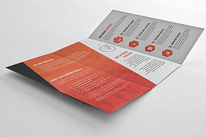 Tri-fold Brochure-Multipurpose