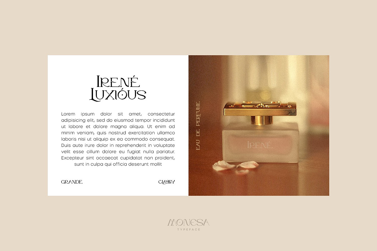 Monesa - Luxury Modern Serif Font, a Serif Font by Koplexs Studio (Photo 8 of 12)