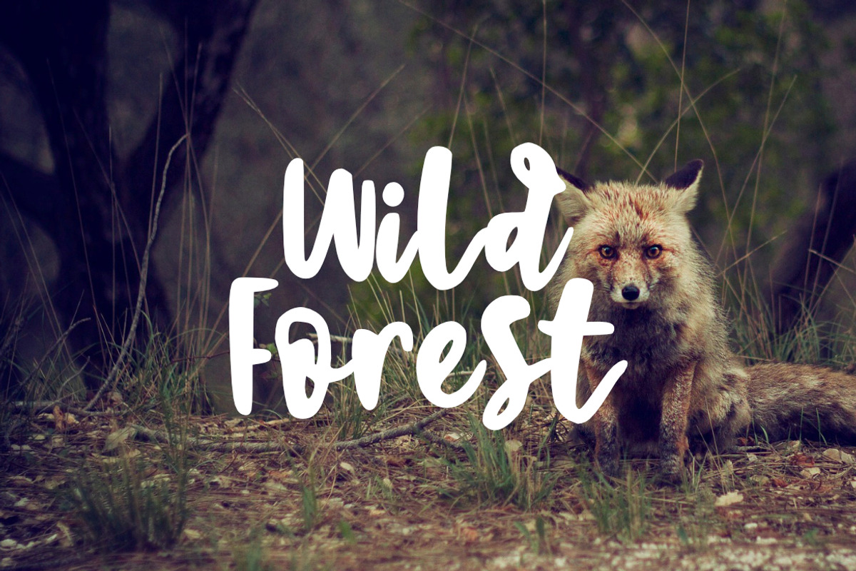 Sweet Brush Font preview 3
