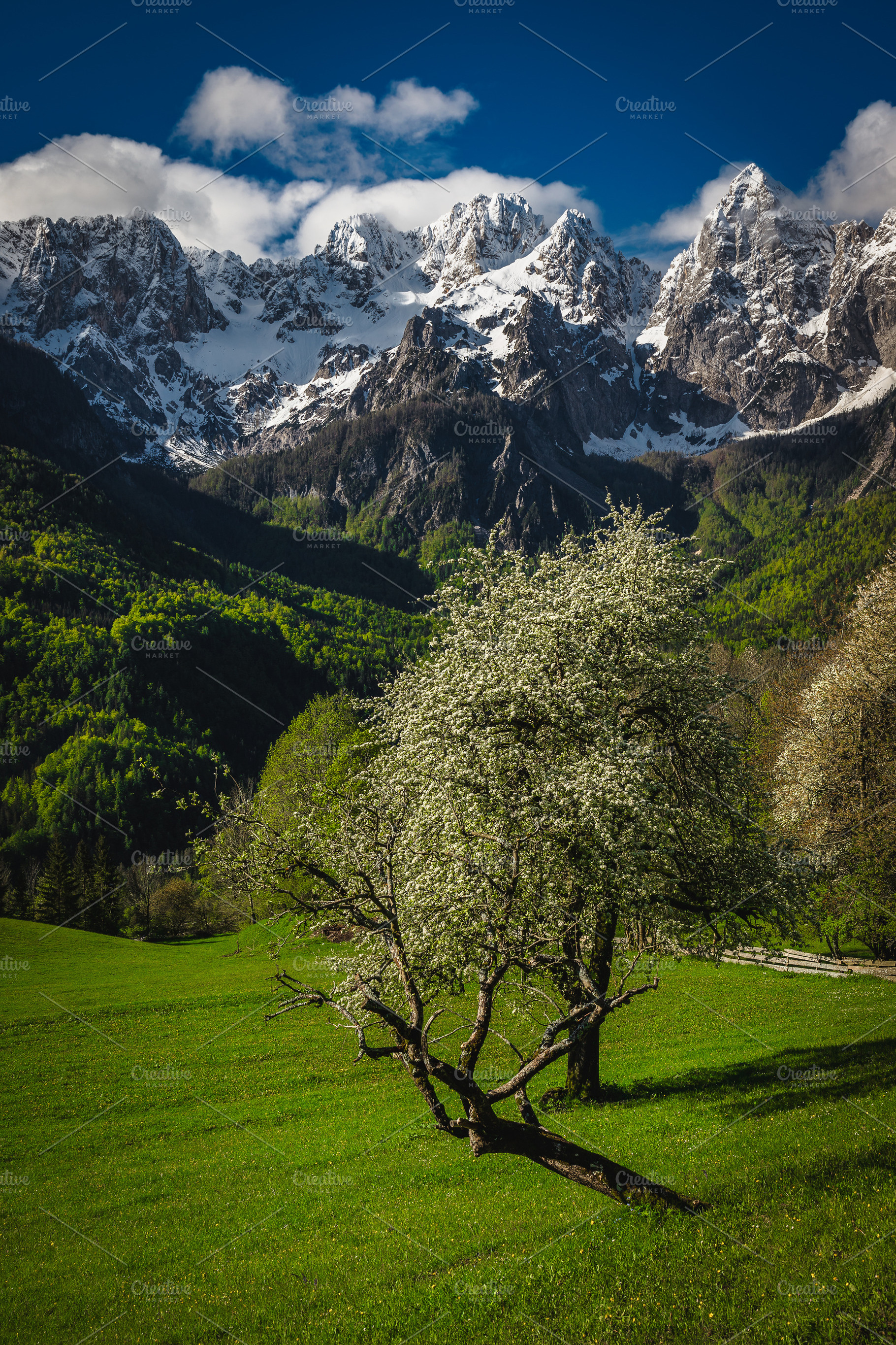 Stunning scenery with high mountains, a Nature Photo by Alpine Dreams