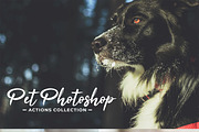 Pet Photoshop Actions Collection, an Action Add-On by Creativetacos (Thumbnail 1 of 7)