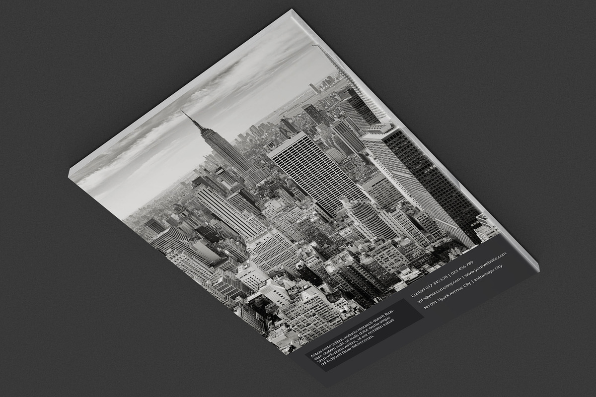 Black And White Proposal Project, a Brochure Template by feydesign (Photo 16 of 16)